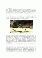 건축과 전통 문화 5페이지