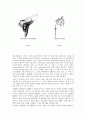 넌센스문학의 정의 3페이지