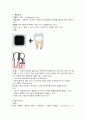 [사회과학] 창의적 사고 훈련 4페이지