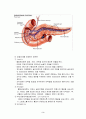 당뇨병(diabetes mellitus)의 이해  3페이지