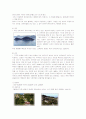 거제도(巨濟島) 조사 10페이지