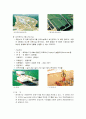 경주 방사성폐기물 처리장 14페이지