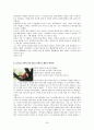 동정에 관한 외국어 교과서 번역 및 재구성 20페이지