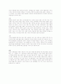 지방선거 공약의 문제점 2페이지