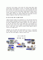 베네통의 이문화환경에서 성공 14페이지