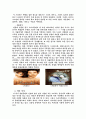 한류의 성공사례 16페이지