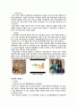 한류의 성공사례 17페이지