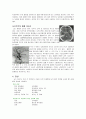 뇌졸증(CVA)에 대하여 3페이지