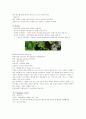 산림박물관을 다녀와서 11페이지
