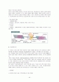 위성통신기기 46페이지
