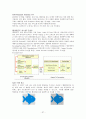 화상통신기기 37페이지