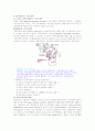 환경과학-배기가스 10페이지