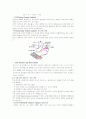 환경과학-배기가스 13페이지