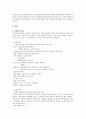 중국어에서의 외래어 2페이지
