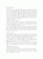 중국어에서의 외래어 8페이지