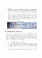 파워콤 마케팅 분석 및 국내 초고속 인터넷 시장의 특성 분석, 지역방송 초고속 인터넷 시장 방어전략 8페이지