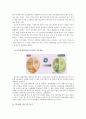 외국자본유입의 실태와 사례분석 및 대응방안 32페이지