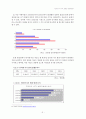 인터넷 사기의 실태와 대응방안 연구 5페이지