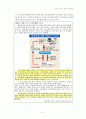 인터넷 사기의 실태와 대응방안 연구 11페이지