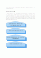 대리모에 관한 분석 보고서 3페이지