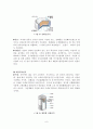 전지별 용도와 장단점 7페이지