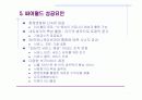 싸이월드 - 인터넷비즈니스 사례분석 6페이지