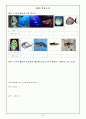 수산과학관 탐방자료 -초등 과학 교육과의 연계 3페이지