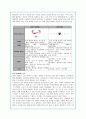 나이키의 브랜드 경영전략 19페이지
