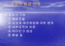 욕창관리 파워포인트 9페이지