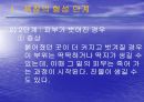 욕창관리 파워포인트 13페이지