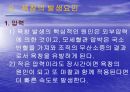 욕창관리 파워포인트 19페이지