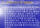 욕창관리 파워포인트 42페이지