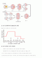세포분열(cell division) 6페이지