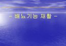 배뇨기능재활 1페이지