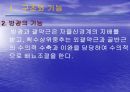 배뇨기능재활 4페이지