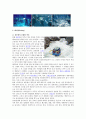 수상 스포츠 2페이지
