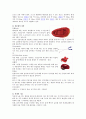 수상 스포츠 3페이지