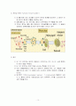 면역의 종류 10페이지