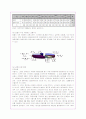 (사회복지)장애인 이동권 문제의 실태와 외국사례 및 개선방안(A+자료) 13페이지