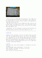초등수학 기초이론 - 규칙성(패턴), 함수, 비와 비율의 의미 23페이지