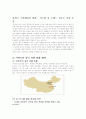 이마트의 중국시장 진출 전략 7페이지