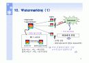 디지털컨텐츠 핵심기술 DRM (Digital Rights Management) 13페이지