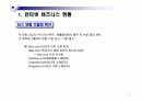 부닷컴(Boo.com)의 실패시례 분석 및 회생 전략 3페이지