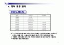 부닷컴(Boo.com)의 실패시례 분석 및 회생 전략 16페이지