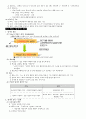 타일러(Tyler)의 교육과정 개발이론 5페이지