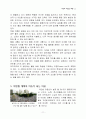 미국의 이민법 개혁 11페이지