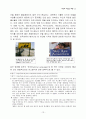 미국의 이민법 개혁 13페이지