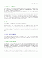 미국의 대통령 선거제도 2페이지