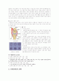 지체장애의 모든 것 4페이지