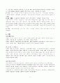 삼성그룹의 전략 및 사례 분석 13페이지